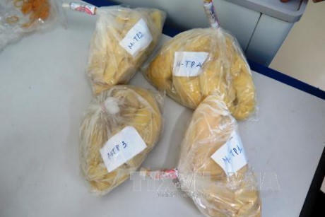 Mẫu măng tươi có chứa chất cấm vàng ô, thu được từ các quầy bán măng. Ảnh: Phan Quân-TTXVN