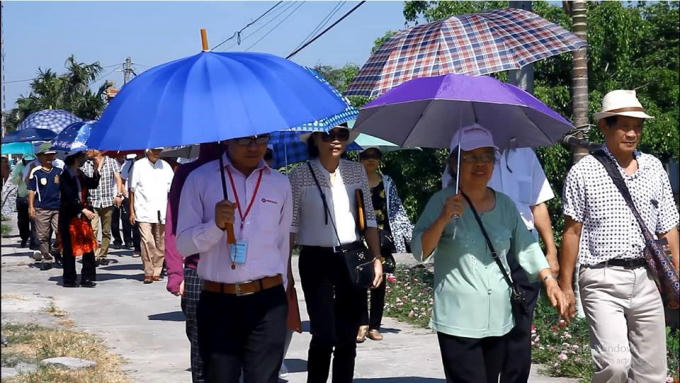 Người tiểu đường trên cả nước tiến vào vùng trồng Dây thìa canh – bào chế ra sản phẩm Diabetna tại Hải Hậu – Nam Định
