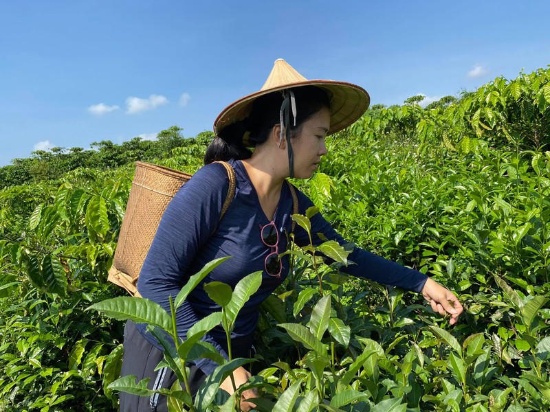 Chị Linh Nguyễn bỏ kinh doanh về làm
