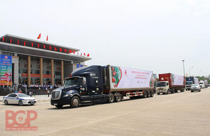 1591424219690_xuathanh