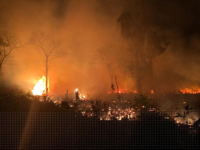 UBND xã Gành Dầu huy động công an, kiểm lâm, biên phòng... nỗ lực dập đám cháy.