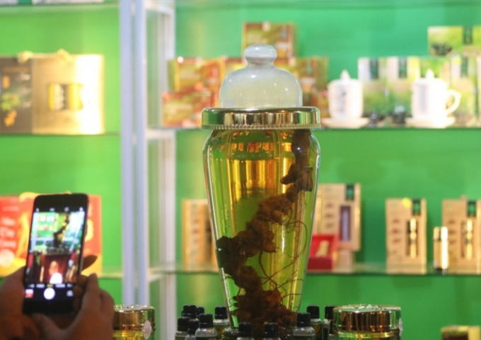 Tùy vào độ tuổi, Sâm Ngọc Linh có giá trị từ vài chục triệu đến vài trăm triệu.