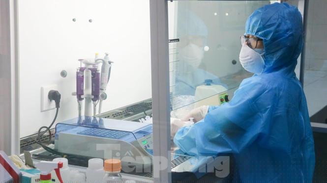 Giá 1,4 tỷ đồng, máy phục vụ xét nghiệm COVID-19 của Đà Nẵng hoạt động như thế nào? - ảnh 5