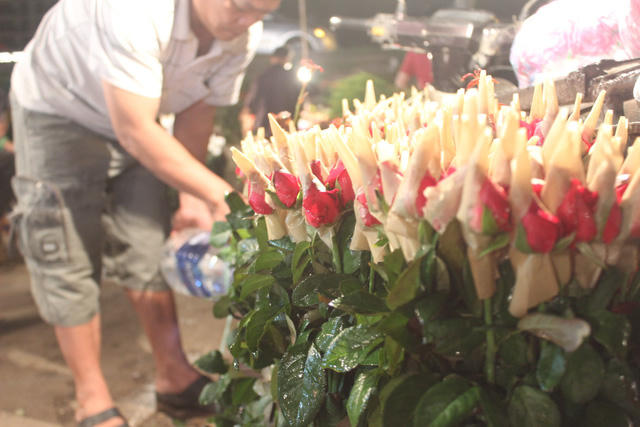 Hoa hồng M&ecirc; Linh c&oacute; b&ocirc;ng nhỏ.