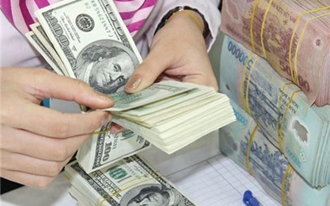 Dự trữ ngoại hối đạt kỷ lục 48 tỷ USD. (Nguồn: Trí thức trẻ)