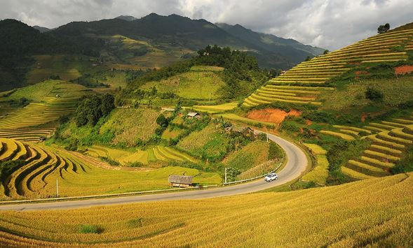 Mù Cang Chải mỗi độ thu về là dịp cảnh đẹp nơi đây được tô thêm sắc thắm bởi xen lẫn cảnh núi đồi cheo leo uốn khúc lượn cong là những ruộng bậc thang được điểm tô bằng màu vàng rực rỡ của lúa chín với những chiếc nhà sàn của bà con vùng cao đã tạo nên một cảnh sắc rất riêng cho con người vùng cao Tây Bắc.