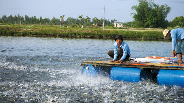 Ảnh minh họa (nguồn: Internet).