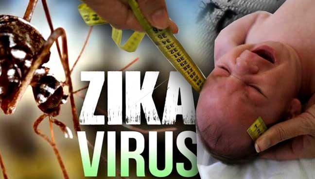 Số ca nhiễm Zika tại TP HCM tiếp tục tăng. Ảnh: minh họa