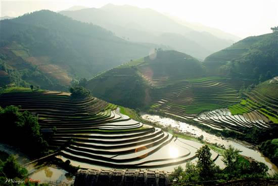 Nước được đổ đầy ở trên cao sau đó tràn xuống các ruộng dưới cùng tạo nên một bức tranh tuyệt đẹp. (Ảnh: Zing.vn)