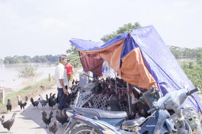 H&agrave; Nội: Vỡ đ&ecirc; s&ocirc;ng B&ugrave;i, nhiều khu d&acirc;n cư bị c&ocirc; lập trong biển nước