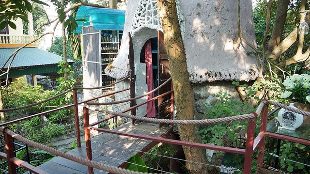 Kỳ dị nh&agrave; tr&ecirc;n... c&acirc;y