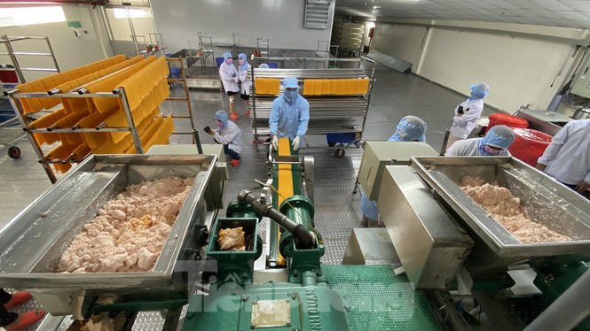 Giá đất, mặt bằng thuê cao, doanh nghiệp 'tháo chạy' khỏi TPHCM - ảnh 3