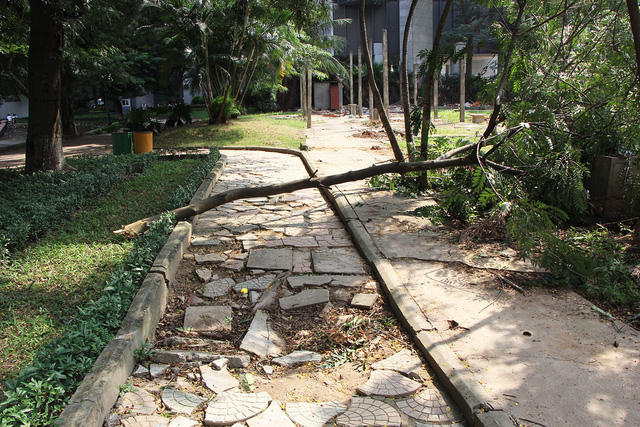 C&ocirc;ng vi&ecirc;n lọt top