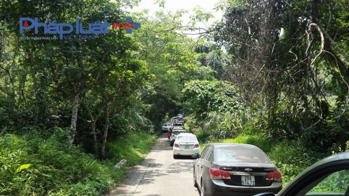 Ô tô nối đuôi nhau vào vườn .