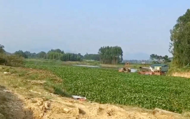 Vĩnh Phúc: “Cát tặc” lộng hành, ngang nhiên lập bến trên sông Tranh