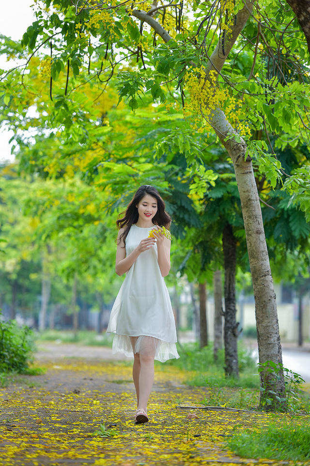 Lần này ghé thăm Hà Nội, Huyền Trang quyết định chụp một bộ ảnh với loài hoa đặc biệt ở Thu đô là muồng hoàng yến.