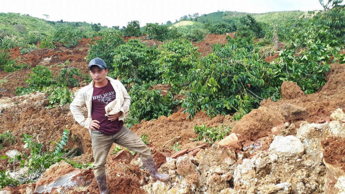 Hàng ngàn gốc cà phê của bà con bị chôn vùi.
