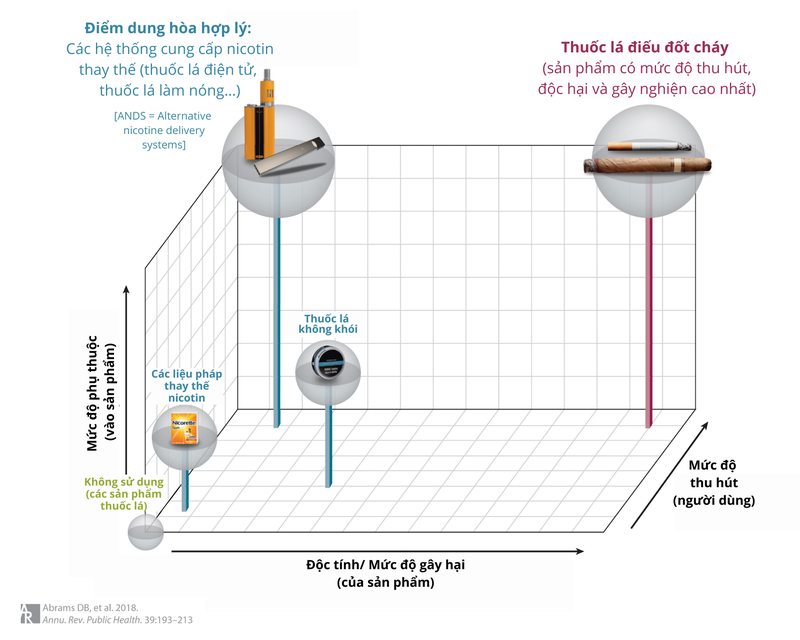 Thuốc lá điếu đốt cháy là phương pháp đưa nicotin vào cơ thể có hại nhất.