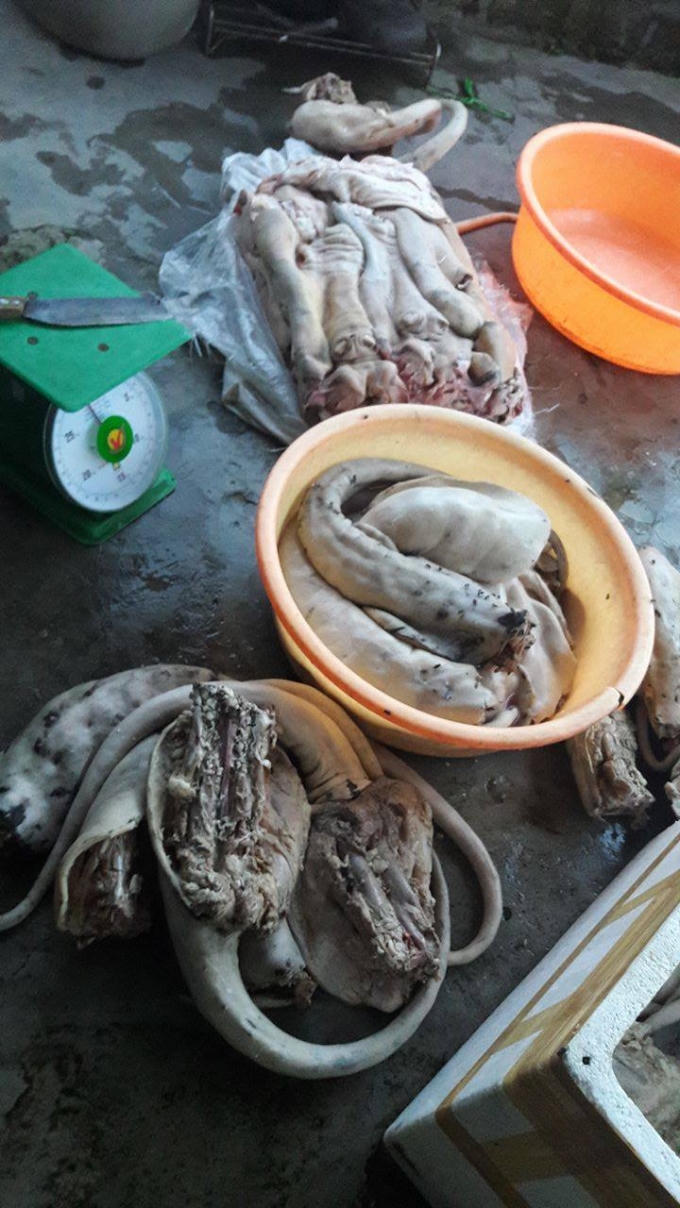 Hơn 1 tạ đuôi, chân bò bốc mùi hôi thối sắp lên bàn ăn. Ảnh: Danh Tạo