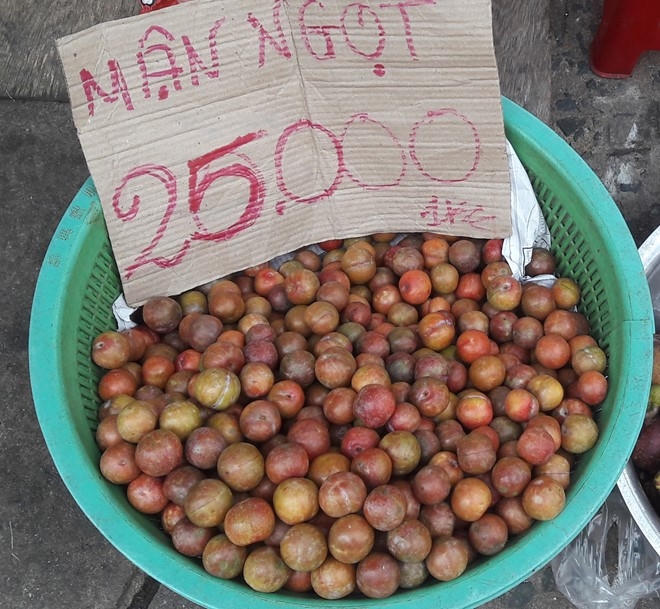 Mận Trung Quốc 25.000 đồng/kg được bày bán ven đường với mác mận Hà Nội bao ngọt. Ảnh: Phạm Oanh