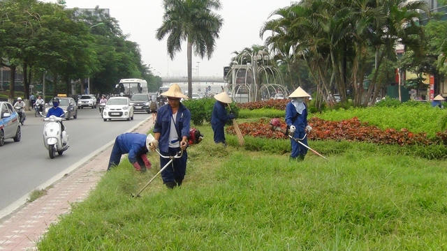 Từ 1/7, Hà Nội tạm dừng cắt cỏ, tỉa hoa trong các tuyến phố.
