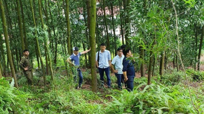 20191015114645-pct-noi-hoang-1571123634-width1004height565