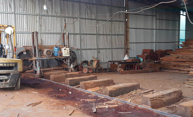 Hơn 40m3 gỗ từ nhóm IIA đến nhóm IV bị cơ quan điều tra bắt giữ tại xưởng gỗ của Phượng “râu”. Ảnh V.Thành