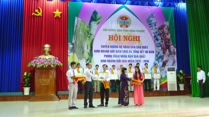 Bà Nguyễn Hồng Lý Phó Chủ tịch Trung ương Hội nông dân Việt Nam trao tặng giấy khen cho các nông dân tiêu biểu.