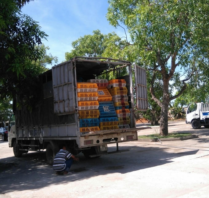 Xe ô tô tải chở gần 3 tấn gà không rõ nguồn gốc xuất xứ.