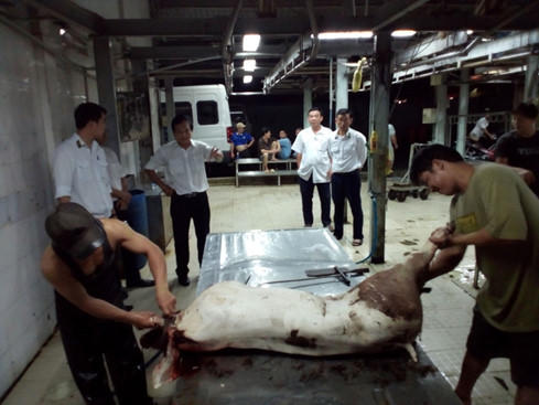 Đoàn kiểm tra phát hiện, bắt giữ heo bơm nước.