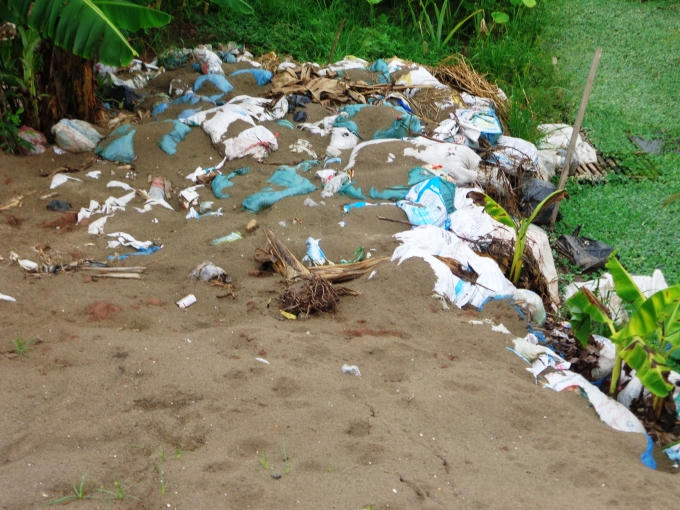 Tại khu vực xóm 5, xác lợn được chứa vào từng bao tải rồi chôn lấp, tuy nhiên mùi hôi thối vẫn bốc lên nồng nặc, ảnh hưởng nghiêm trọng đến đời sống của người dân quanh đây.