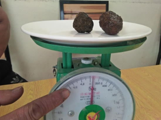 Hai hòn “dương bảo” có trọng lượng khoảng 300g.