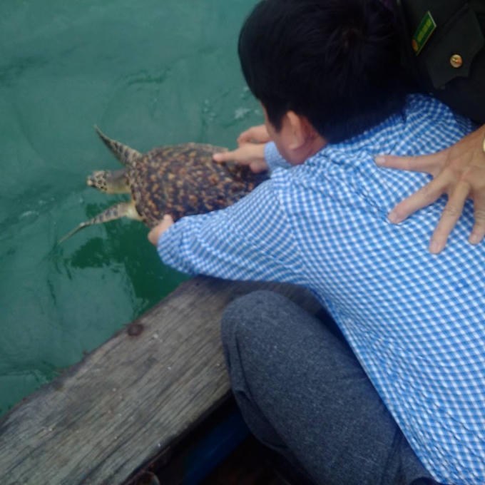 Và được cứu khỏi bàn nhậu thả về với môi trường biển.