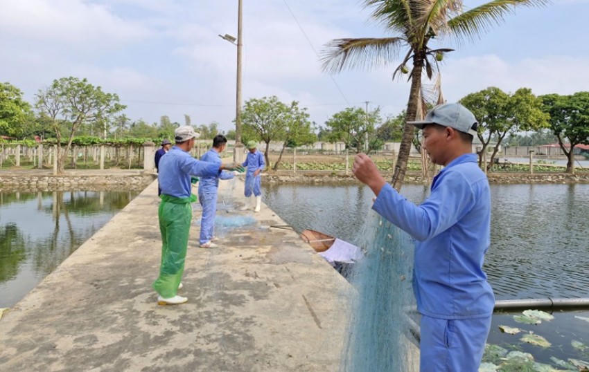 Các học viên đánh cá chuẩn bị đón tết.