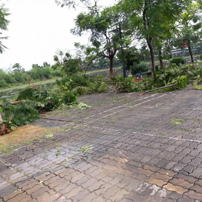 Khuôn viên trường xơ xác.