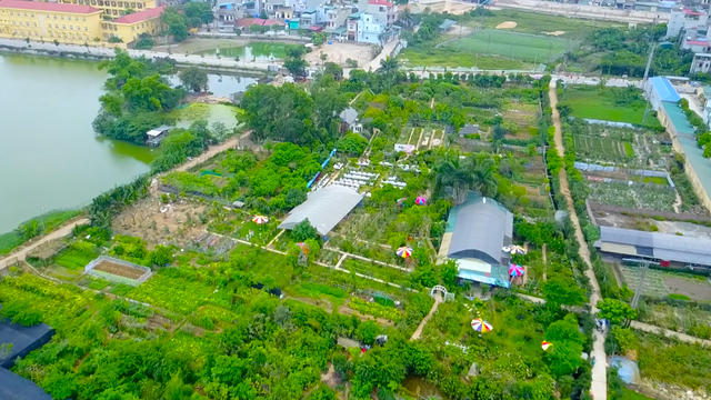 Vườn hồng nhìn từ trên cao.