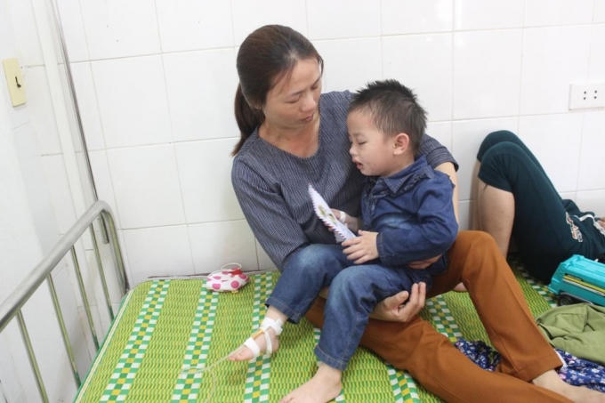 17 học sinh c&ugrave;ng c&ocirc; gi&aacute;o mầm non bị ong rừng tấn c&ocirc;ng