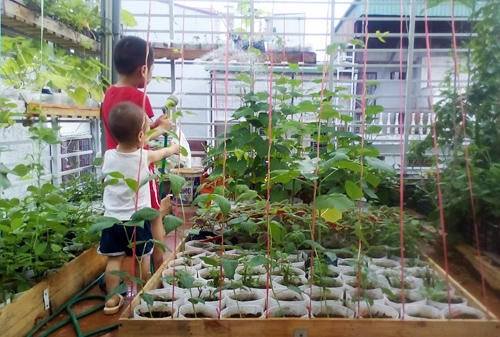 Hai con trai nhỏ của anh cũng khá thích thú khi được phụ cùng bố mẹ tưới cây, di chuyển các túi cây khi quy hoạch vườn...