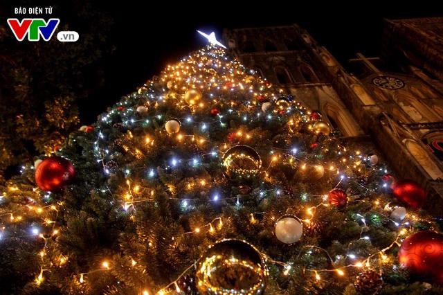 Cận cảnh cây thông Noel rực rỡ tại nhà thờ Lớn