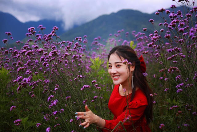 Cảnh thiên nhiên đẹp như cổ tích của cánh đồng hoa thu hút đông du khách đổ về check-in, chụp ảnh. Đây cũng đang là điểm du lịch