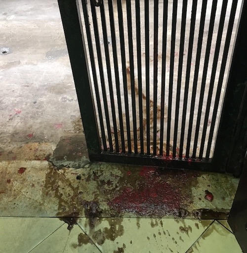 Hỗn hợp bom bẩn được chụp lại vào buổi sáng ngày sau.