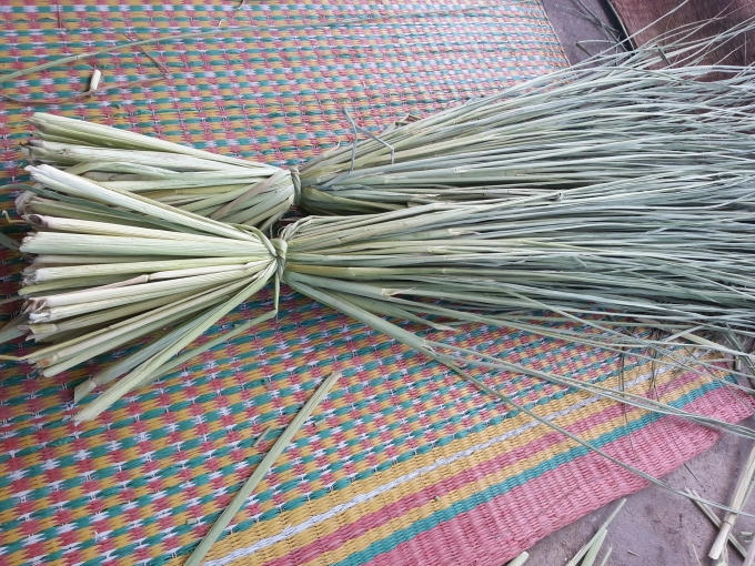 Thân cây lúa tám thơm là nguyên liệu chính để quấn "Đuôi Trâu"