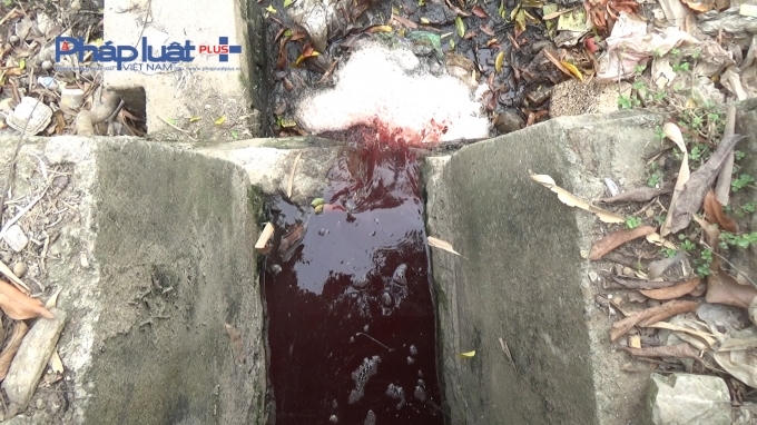 Video: CTV Ph&aacute;p luật Plus v&agrave; ph&oacute;ng vi&ecirc;n VTC bị người tại l&ograve; mổ Minh Hiền h&agrave;nh hung trong đ&ecirc;m