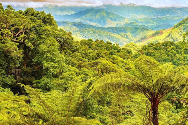 Khu Dự trữ thiên nhiên Động Châu - Khe Nước Trong nằm ở phía Tây Nam tỉnh Quảng Bình (thuộc xã Kim Thủy, huyện Lệ Thủy), giáp với biên giới Việt - Lào và khu Bảo tồn thiên nhiên Bắc Hướng Hóa tỉnh Quảng Trị.