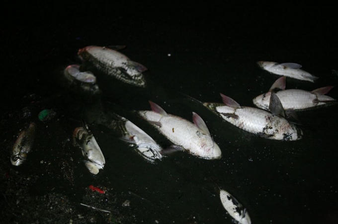 Chủ tịch UBND TP Hà Nội chỉ đạo khẩn trương xử lý vụ việc, và làm sạch lòng hồ.