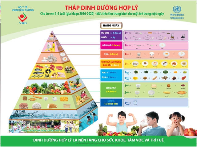 Bữa ăn cần đa dạng, cân đối để đảm bảo sức khỏe, tránh suy dinh dưỡng.