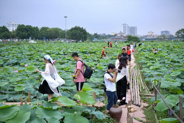 nguoi-do-xo-di-chup-sen-5-1559126947672