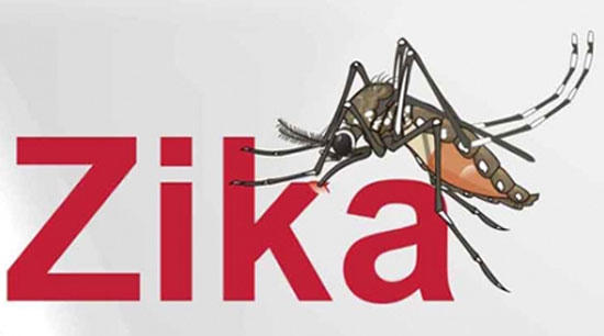 Tính đến 17h ngày 18/11 cả nước ghi nhận 60 ca nhiễm bệnh do virus Zika. Ảnh: minh họa