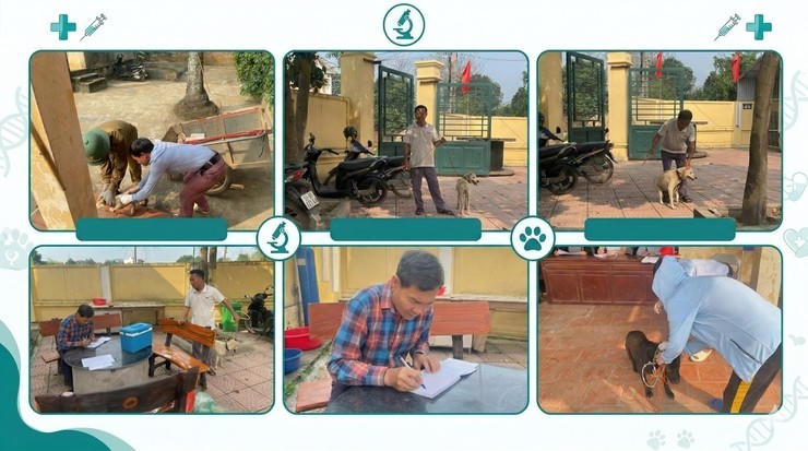 Người dân cần thực hiện nghiêm việc xích, nhốt và quản lý chặt chó, mèo nuôi, không thả rông, chủ động đưa vật nuôi đi tiêm phòng vaccine dại đầy đủ. Ảnh: CDC Hà Nội.