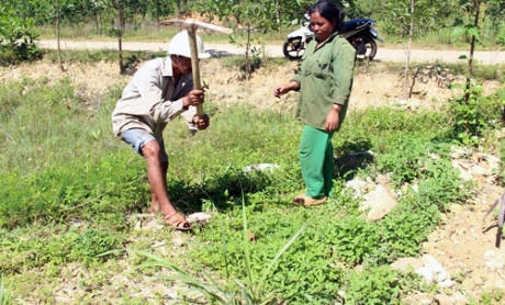 Cuộc sống của người dân tái định cư Thủy điện A Lưới bế tắc vì đất đai được cấp quá cằn cỗi. Ảnh: An Sơn